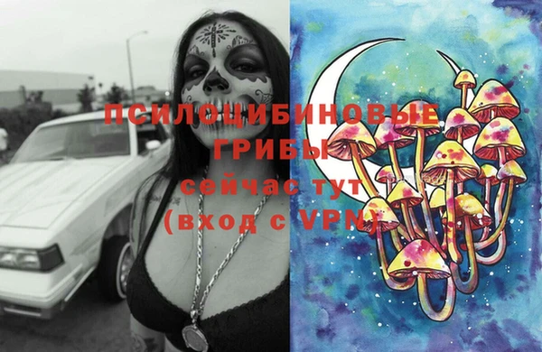 альфа пвп Новозыбков