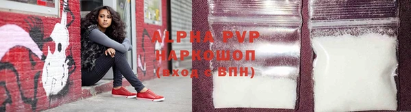 spice Новодвинск
