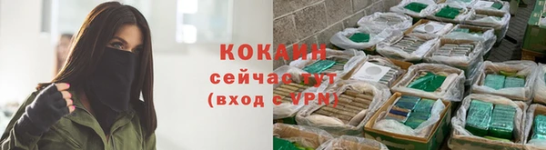 spice Новодвинск