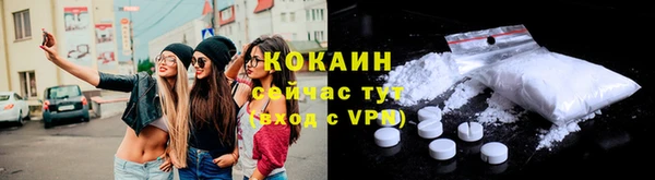 spice Новодвинск