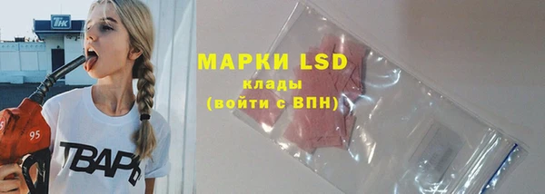 spice Новодвинск