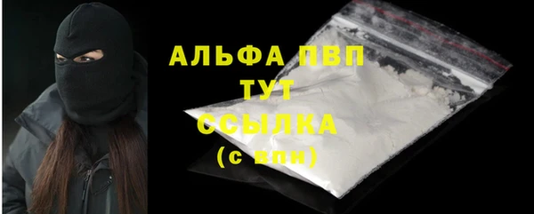 spice Новодвинск