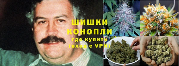 альфа пвп Новозыбков