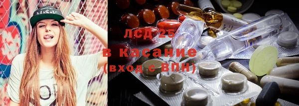 spice Новодвинск