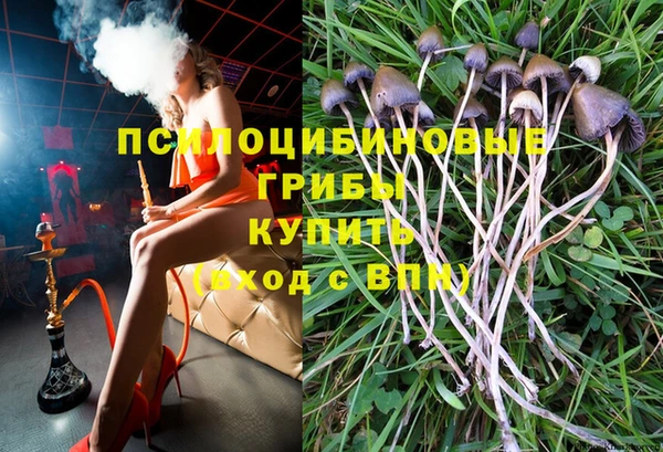 альфа пвп Новозыбков