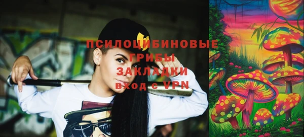 стаф Няндома