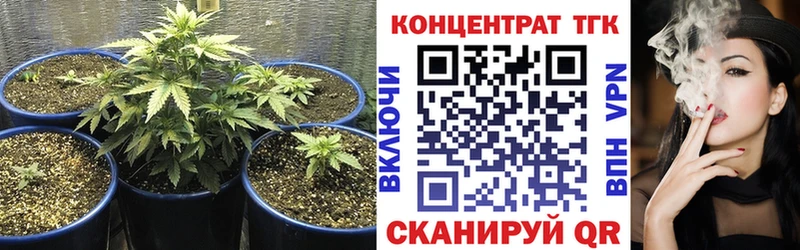 закладка  Заводоуковск  ТГК концентрат 
