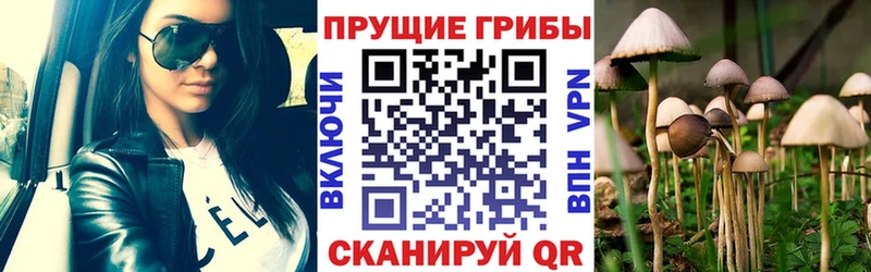Галлюциногенные грибы мицелий  Заводоуковск 