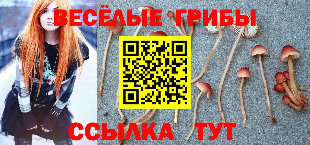 Заводоуковск  Псилоцибиновые грибы MAGIC MUSHROOMS  Галлюциногенные грибы Psilocybine cubensis  Вход с VPN 
